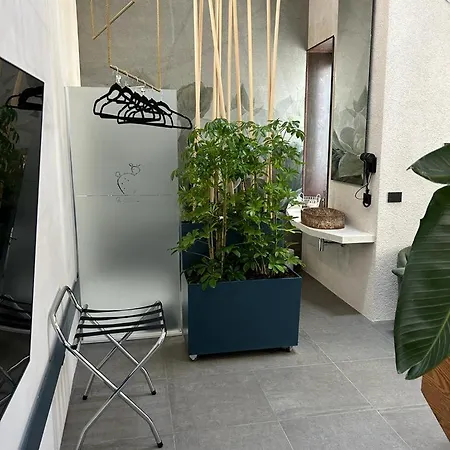 Guest house Ficopala